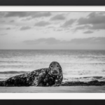 My Stretch Of Sand & Sea