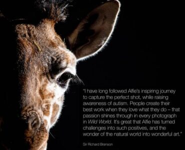 Wild World - Signed Edition - Image 2