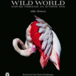 Wild World - Signed Edition