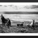 Spirit Of The Carneddau
