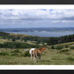 On The Edge Of It All