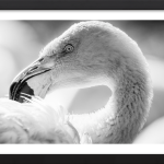 There Is Always Light