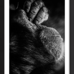 It's Been A Long Day