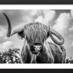 The Highland