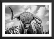 The Highland