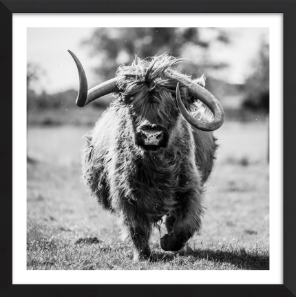 The Highland Charge