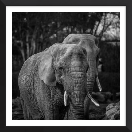 In The Path Of Giants