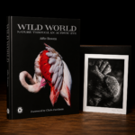 Wild World - Signed Edition